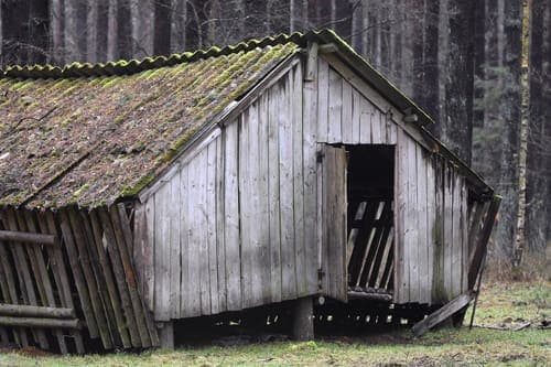 Shed removal in Chicago, IL